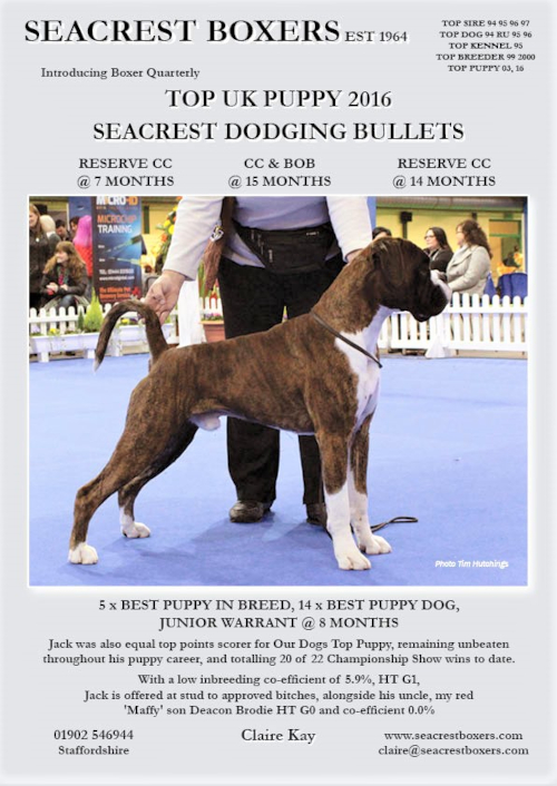 Jack - Seacrest Dodging Bullets